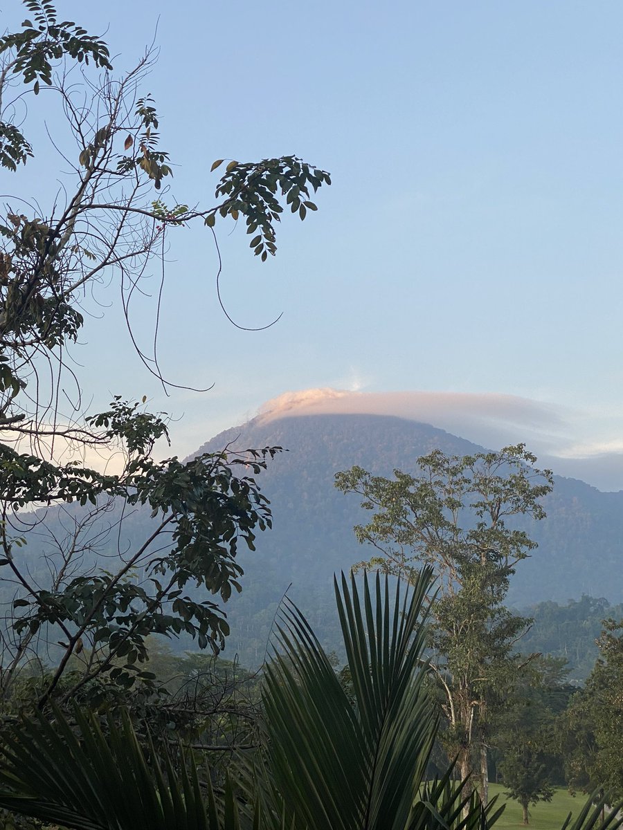 classflipper's tweet image. Good morning Soi Dao