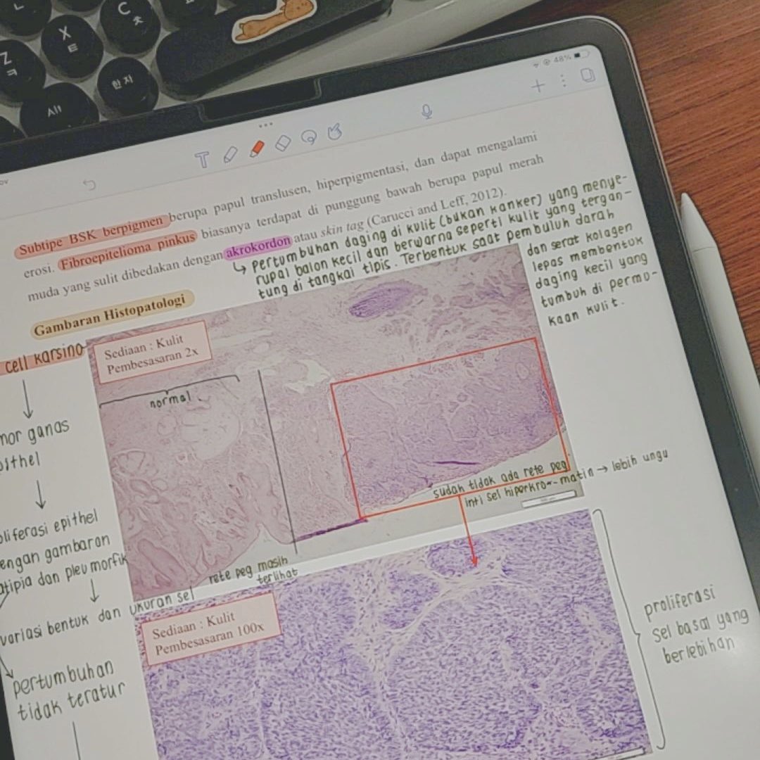 vvsmydmnds's tweet photo. hi! i'm looking for moots to study together and ofc share some study rant to, so let's be moots♡

about me :
• you can call me lili
• she/her
• majoring dentistry🦷
• taylor swift enthu @taylorswift13 

bantu rt/like ya, terima kasih!!! 
#studytwt #ambistwt #studyacc #study https://t.co/rK6Un9MPuo