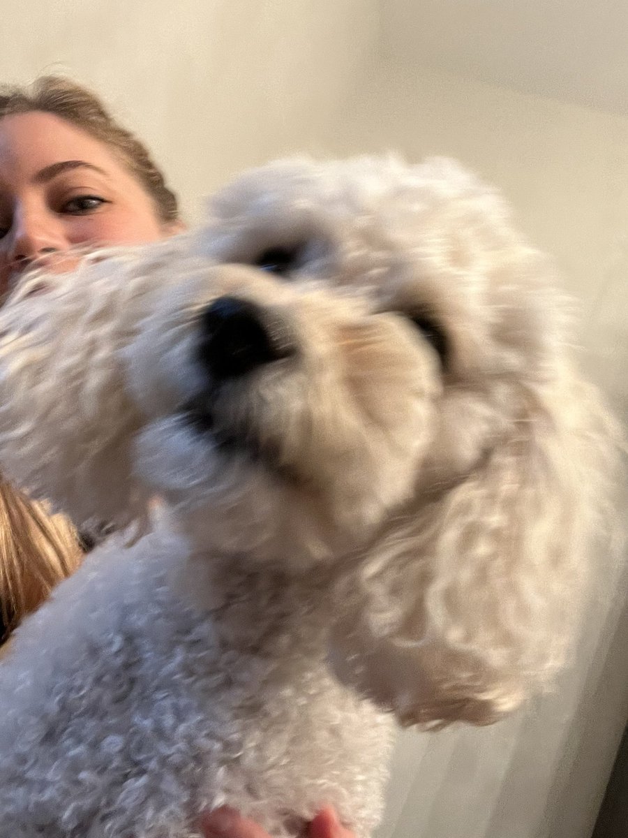 iJustine tweet media