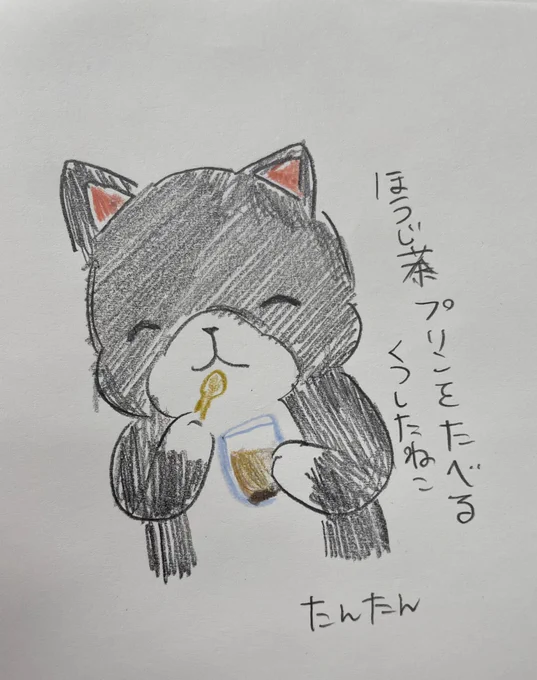 ほうじ茶プリンを食べるくつしたねこ

#イラスト #猫 