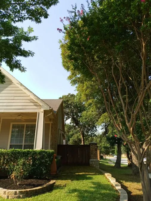 KingreenServ's tweet photo. They asked for more light, new grass, and clean beds, so we delivered on all 3. #landscaping #landscape #irrigation #landscapedesign #lawncare #mulch https://t.co/uu3M3RFeYz