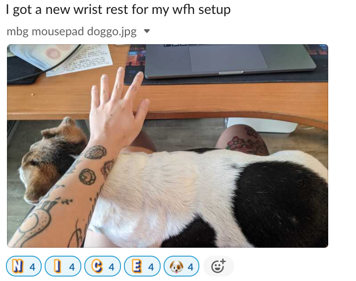 wearemightyai's tweet photo. How has #wfh been for you? For Mary-Anne, she made sure to take care of her wrists with her new wrist rest! 😝 We hope you're doing the same. Ensure your setup is ergonomic, and remember to get up and stretch in between work! 🤸🏼
#peturday #dogparent #pettherapy https://t.co/zspQeJe8GZ