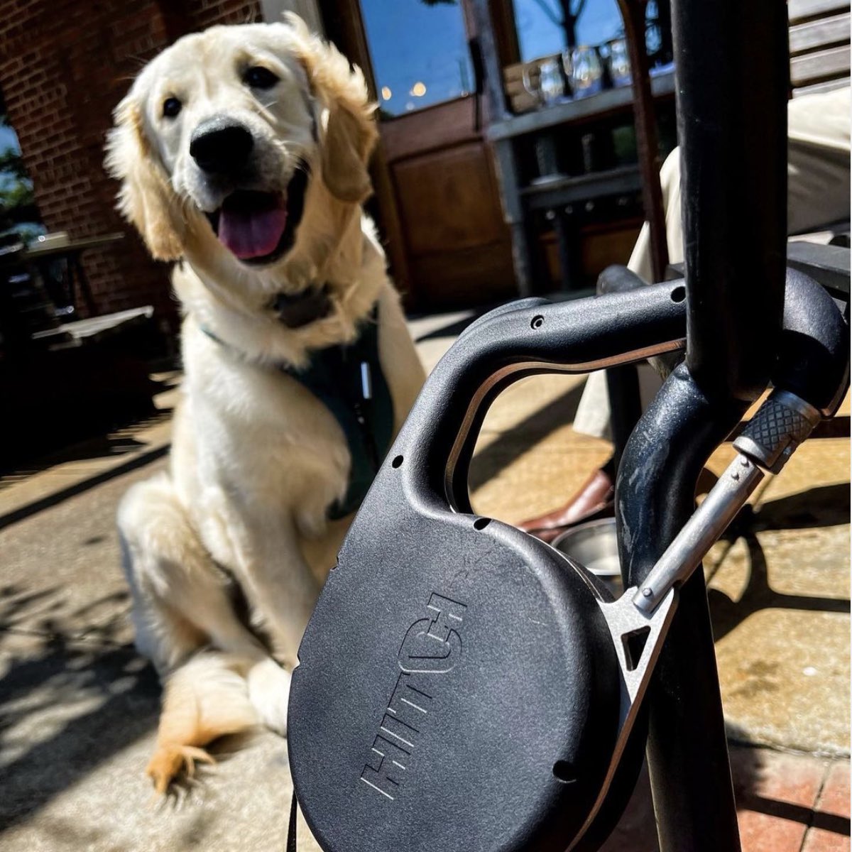 hitchleash's tweet photo. Hitch Leash, the retractable leash with a carabiner in the handle.
Pre-order on Kickstarter, only 2 weeks left! 
https://t.co/HAiZ3nWN7B
#dog #happydog #happyjob #dogsoftwitter #gooddog #goodboy    #goldenretriever #Kickstarter #crowdfunding #BlackFriday @HappyTweetBot1 https://t.co/zcqIGWFQhQ