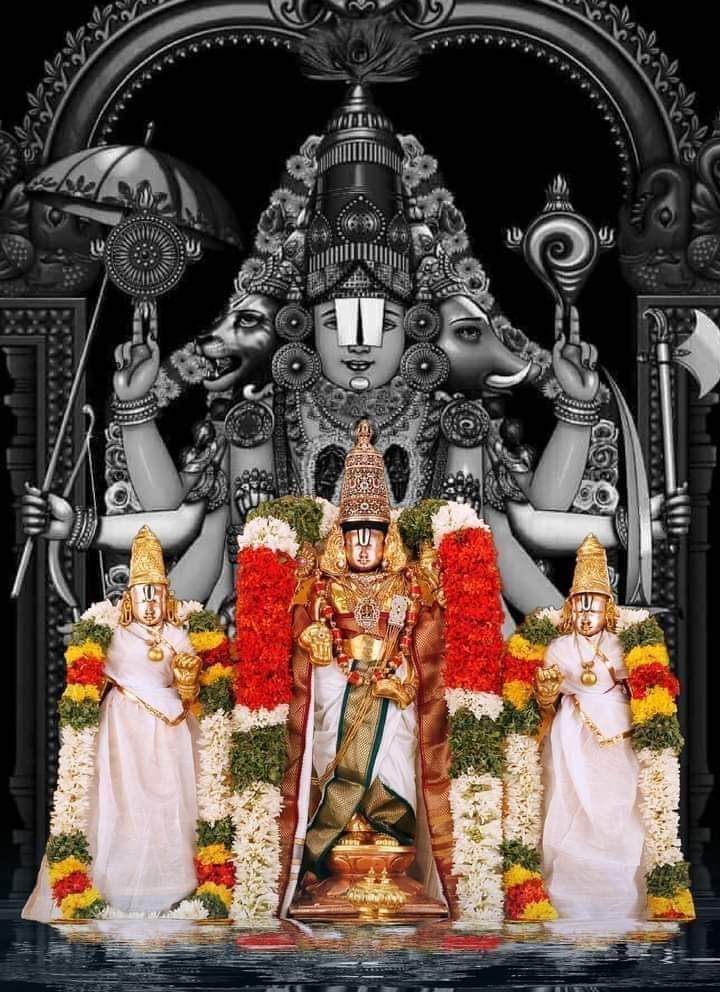 letsmeetshravan's tweet photo. https://t.co/iiw6LsmlsM