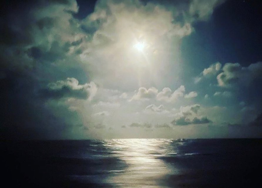 didaccostaVG's tweet photo. 📝 [ Diario de a bordo - día 19]

A bordo de #TimeForOceans estamos en muy buena forma.

Como el viento es inestable, es exigente porque hay que ajustar constantemente las velas. Descansaremos pronto

El calor sigue siendo un reto diario, sobretodo cuando el sol está en su cenit https://t.co/VzhVlBoTKa