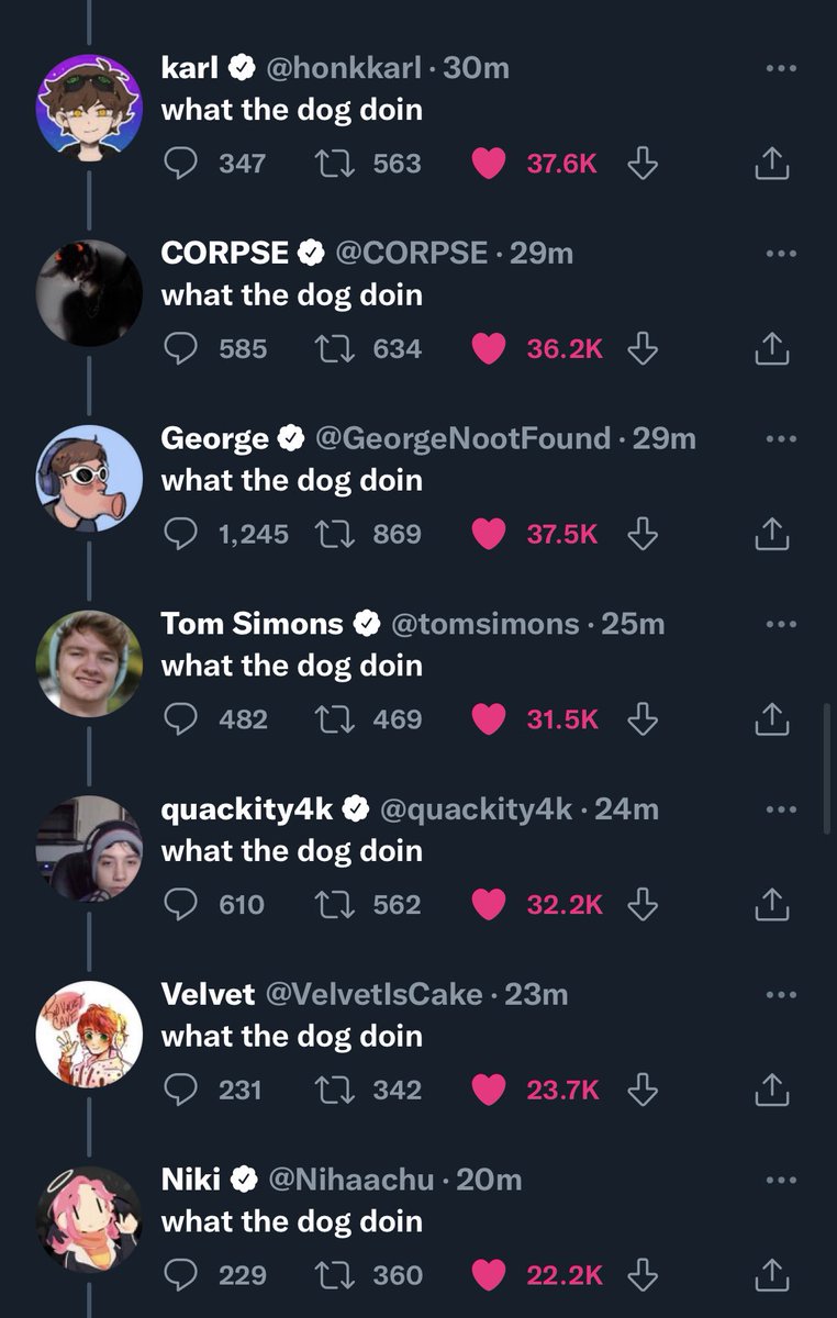 Hayleynootfound's tweet photo. That's a lot of what the dog doin https://t.co/oTNpDeyXtB