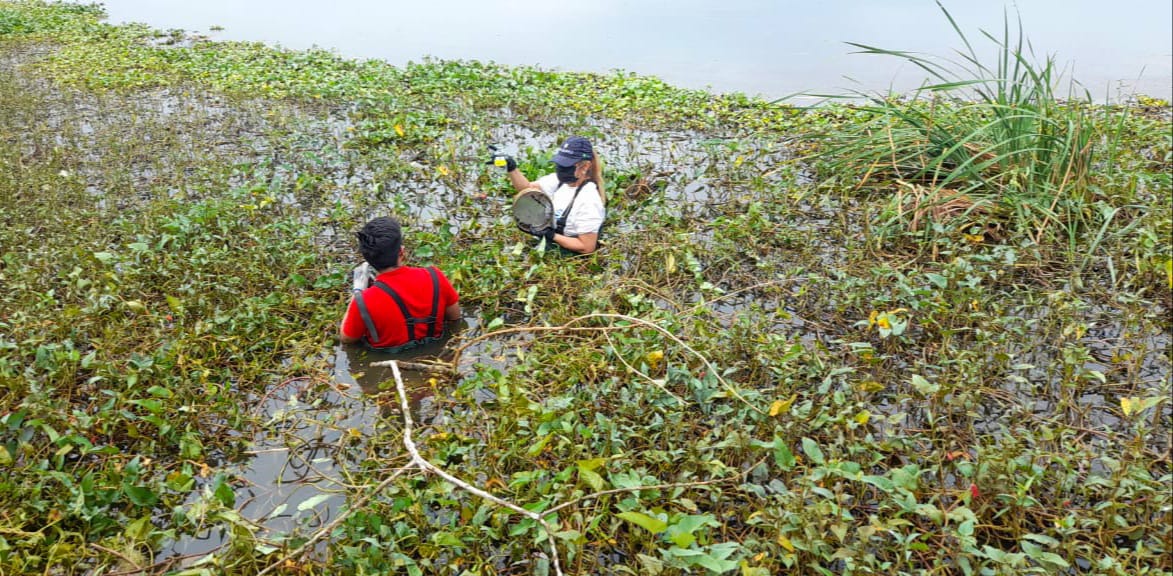 oikossokio's tweet photo. Investigadores del @CADS_ESPOL y  @ciapbahia inician trabajos de campo del proyecto sobre la  Limnología y estresores locales del humedal La Segua en el marco de convenios interinstitucionales @espol @UTMManabi. @DEC_INV_ESPOL @CarlosMonsalveA #YoSoyESPOL #RAMSAR @inld_limnology https://t.co/VOUKiLsFPn