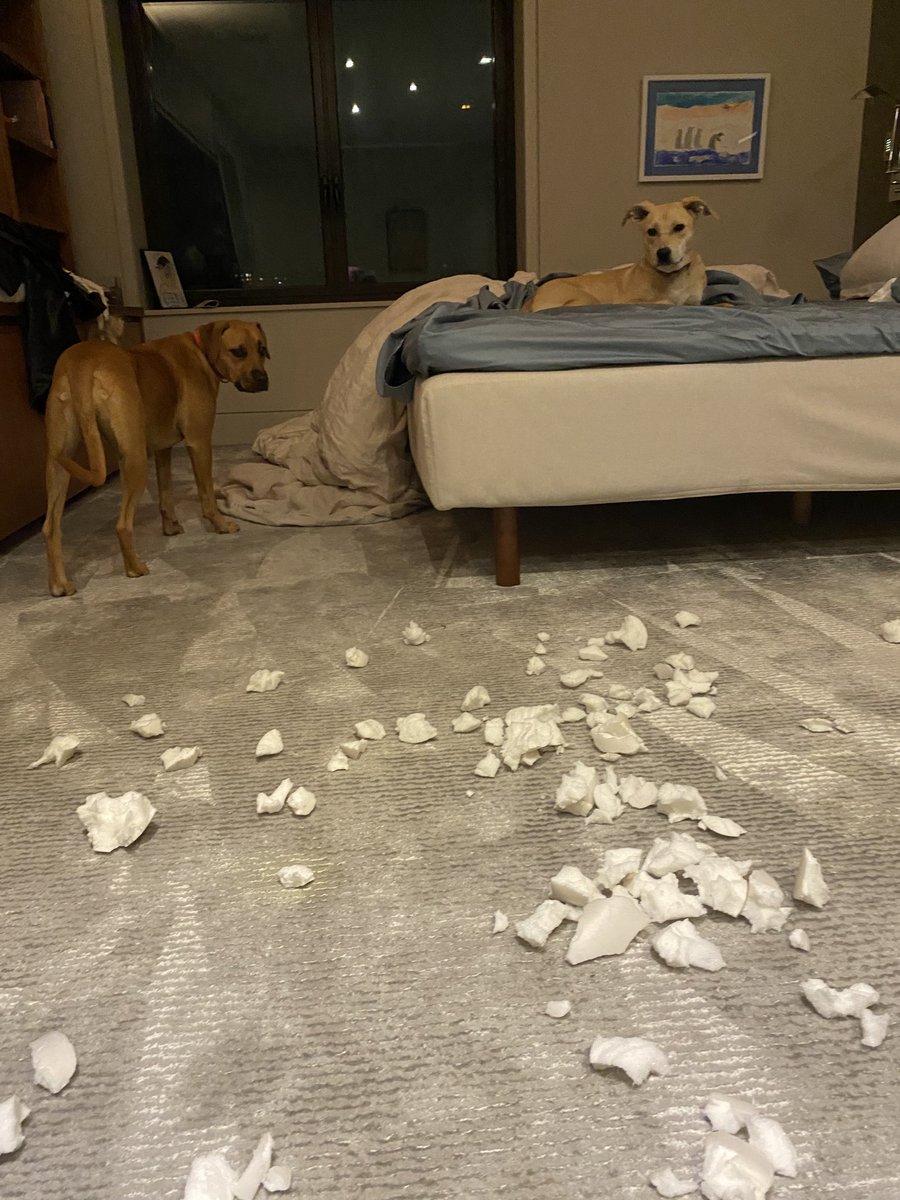 Soledad O'Brien tweet media