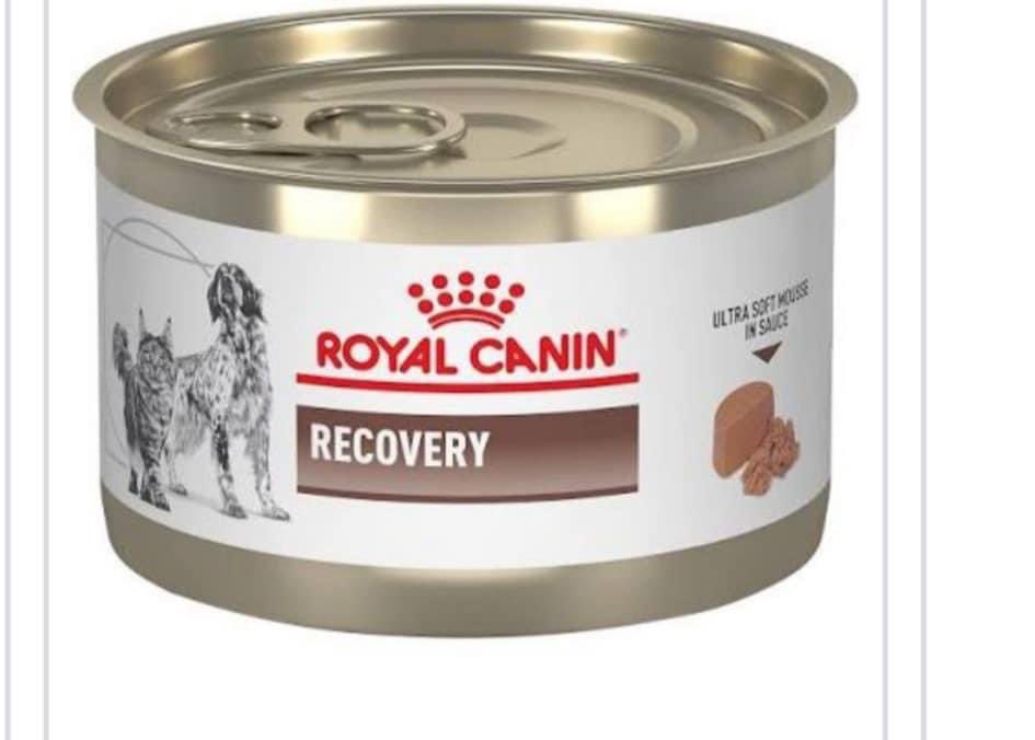 gllgina1's tweet image. Rossy recuperándose de su tratamiento Dental, salió anémica con Erliquia y Anaplasma,requerirá comida blanda RECOVERY🐶SI ALGUIEN LE PUEDE DONAR O INTERCAMBIAR POR ARTICULOS DEL Bazar Online - Su Voz es la de Todos ..manda whats a Elizabeth al 662 221 1219 #Hermosillo #Sonora