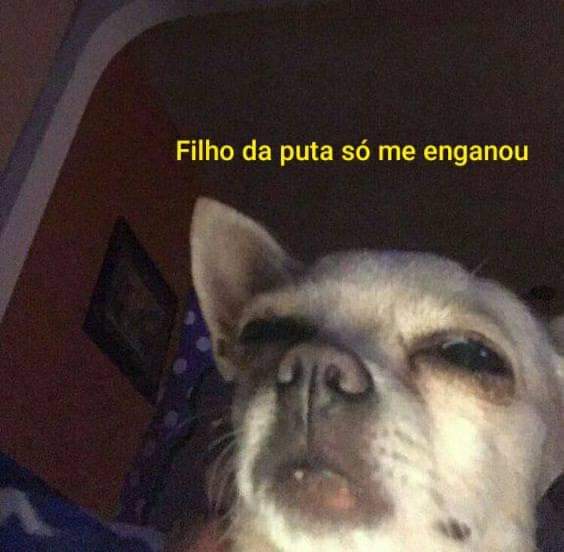 ClarissaYorke's tweet photo. ninguém: a

eu de madrugada: https://t.co/qRAgyKZ5Ra