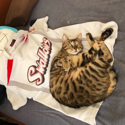 rinonbo1's tweet photo. #新しいプロフィール画像 https://t.co/q95AkrfsmE