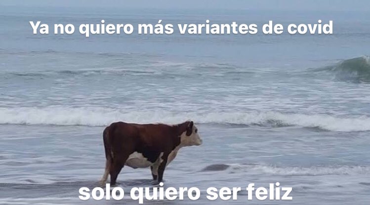 Danie ☽ (@canciondebruma) on Twitter photo 
