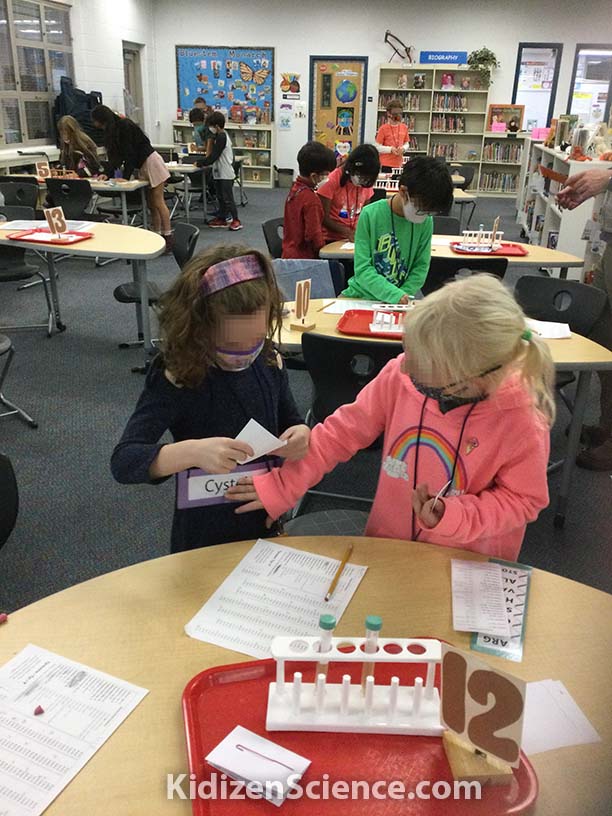 KidizenScience's tweet image. The DNA Discovery module makes a great follow-up to the Amino Acid one. Here, our young #biochemists deciphered codon-encoded messages while waiting for their strawberry #DNA to extract. Find the modules for free at KidizenScience.com! #science kidizenscience.com/2021/09/20/dna…