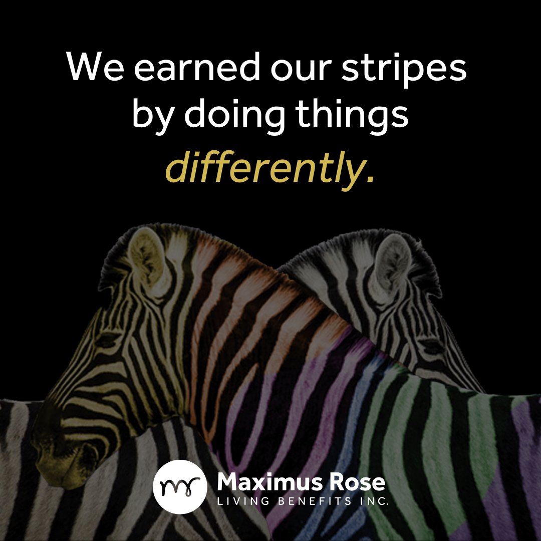 At Maximus Rose we strive to exceed our customers’ expectations through modern digital solutions, customized care, and meaningful embedded Value-Added Services.

Let us find the right coverage solution for your business. For more information, visit maximusrose.com.