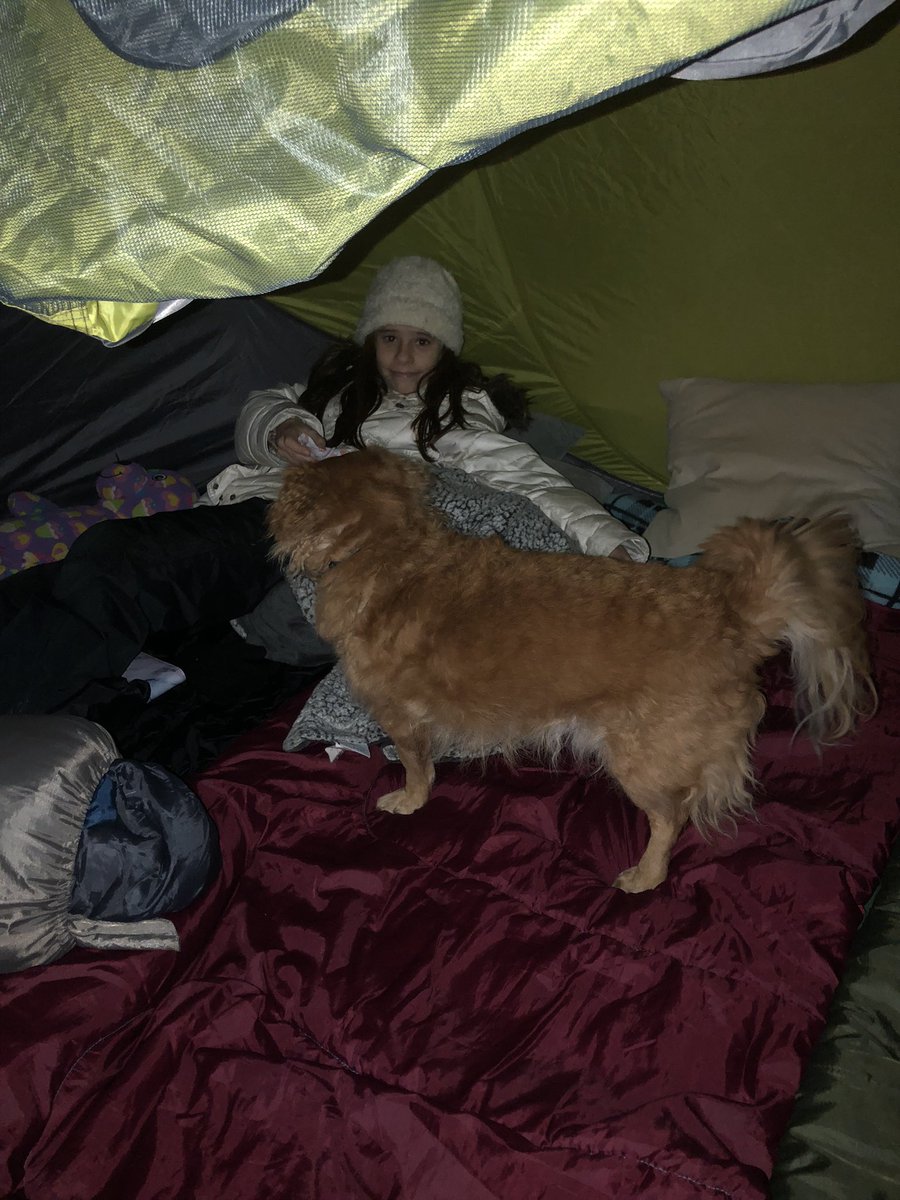 Here we go… one night sleeping outside (-13 in Ottawa tonight) for <a href="/ysb_bsj/">Youth Services Bureau</a> #StayUpOttawa Even the dog’s in