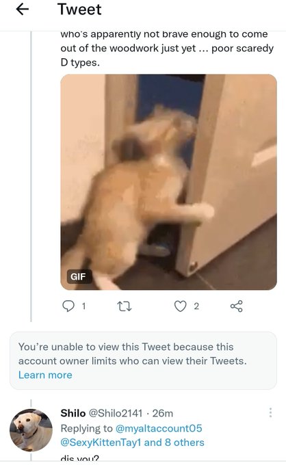 @Shilo2141 @myaltaccount05 @NonymousAndy @MinxGrrl @Brat_1977 @ElectraHeart321 @balispankee @gooddgrrl<a class="tags" target="_blank" title="On Twitter" href="/?out=eyJ0eXAiOiJKV1QiLCJhbGciOiJIUzUxMiJ9.eyJpYXQiOjE3MjQ4NDEwMDQsImlzcyI6InR3cG9ybnN0YXJzLmNvbSIsIm5iZiI6MTcyNDg0MTAwNCwiZXhwIjoxNzU2Mzc3MDA0LCJyZWRpcmVjdF91cmwiOiJodHRwczovL3R3aXR0ZXIuY29tL1NoaWxvMjE0MSJ9.PDd1j-5-PuTu0U5DtZcKZ2eGwxLJ8Jjv8tWhNg77OHFQGh3XXGfrO-ox5nk9DFYBL-28_g26iERWKoBUIqRtJg">@Shilo2141</a><a class="tags" target="_blank" title="On Twitter" href="/?out=eyJ0eXAiOiJKV1QiLCJhbGciOiJIUzUxMiJ9.eyJpYXQiOjE3MjQ4NDEwMDQsImlzcyI6InR3cG9ybnN0YXJzLmNvbSIsIm5iZiI6MTcyNDg0MTAwNCwiZXhwIjoxNzU2Mzc3MDA0LCJyZWRpcmVjdF91cmwiOiJodHRwczovL3R3aXR0ZXIuY29tL215YWx0YWNjb3VudDA1In0.j0PF3YKLRXfnEP4Pog4mTv8wmdQhAvd4nx8gWwhQcPp1Ka7Wi3Ae9nwz3_Y6aAQn_ScKCQ9_frYsSqe66_Vtvw">@myaltaccount05</a><a class="tags" target="_blank" title="On Twitter" href="/?out=eyJ0eXAiOiJKV1QiLCJhbGciOiJIUzUxMiJ9.eyJpYXQiOjE3MjQ4NDEwMDQsImlzcyI6InR3cG9ybnN0YXJzLmNvbSIsIm5iZiI6MTcyNDg0MTAwNCwiZXhwIjoxNzU2Mzc3MDA0LCJyZWRpcmVjdF91cmwiOiJodHRwczovL3R3aXR0ZXIuY29tL05vbnltb3VzQW5keSJ9.UHrg6hLecSZYvu84H4kjvsWhNwsdk4H908f1n-DT3m2O7CCWSc9BjKZMjFFiZmxzDgJde2CwY4FGpeFhWNvGHg">@NonymousAndy</a><a class="tags" href="/tag/minxgrrl">@minxgrrl</a>