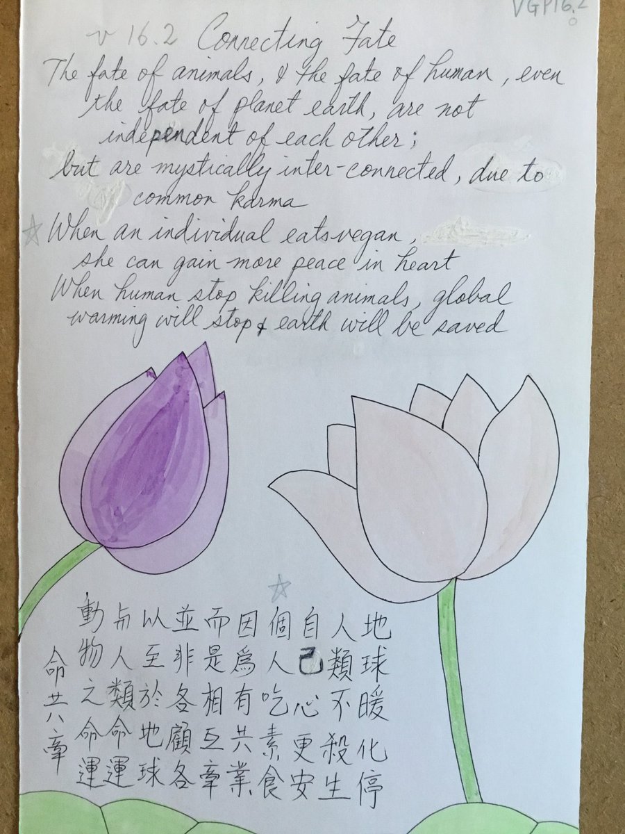 Vegan group poem 16.2: Connecting Fate

#GoodKarmaDiet #VeganForPeace #ChinesePoems