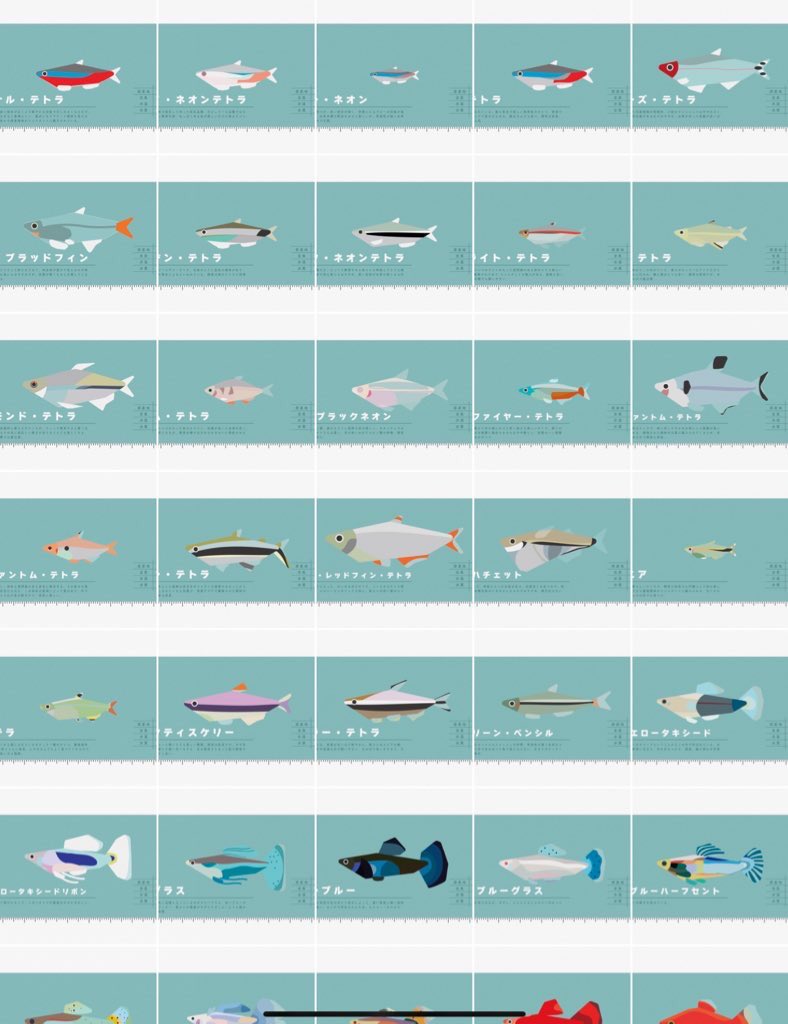 水族館やお魚メインにデザインしてます🐟

 #名刺代わりの作品をあげてください 