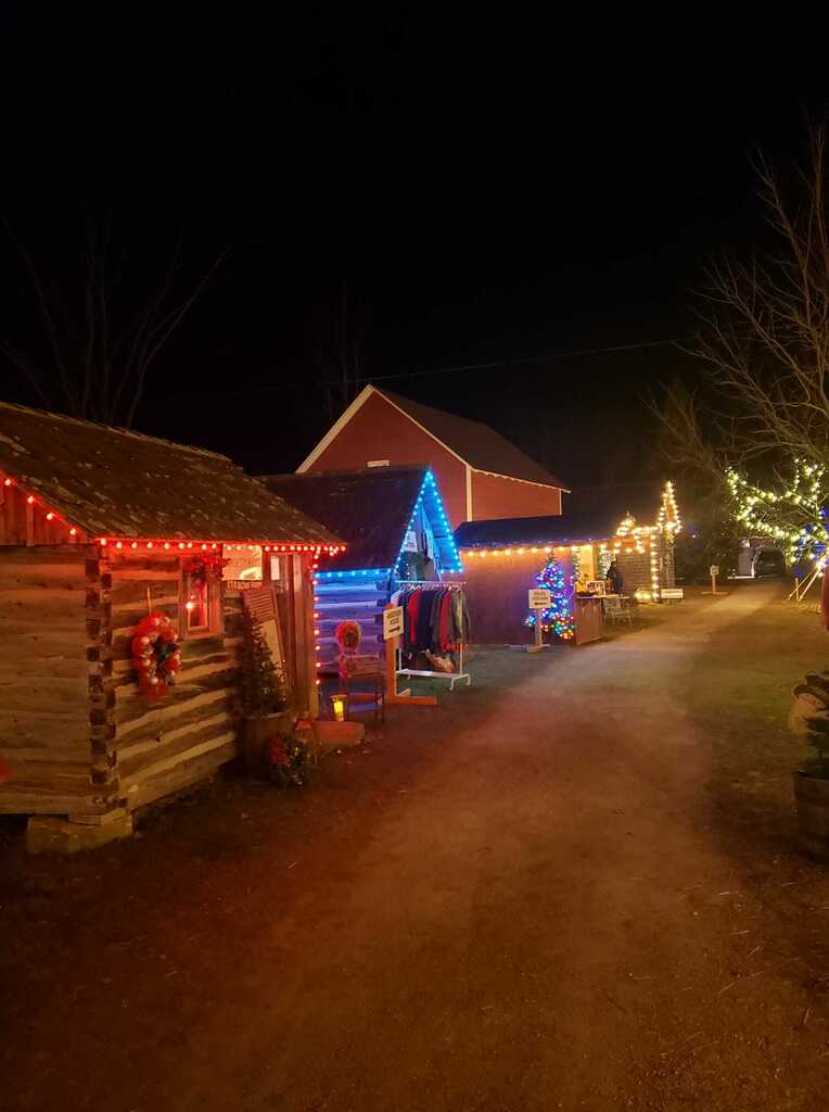 First day of the Chriskindlmarkt in Sister Bay.  Great vendors and food! Open 3 weekends in a row.