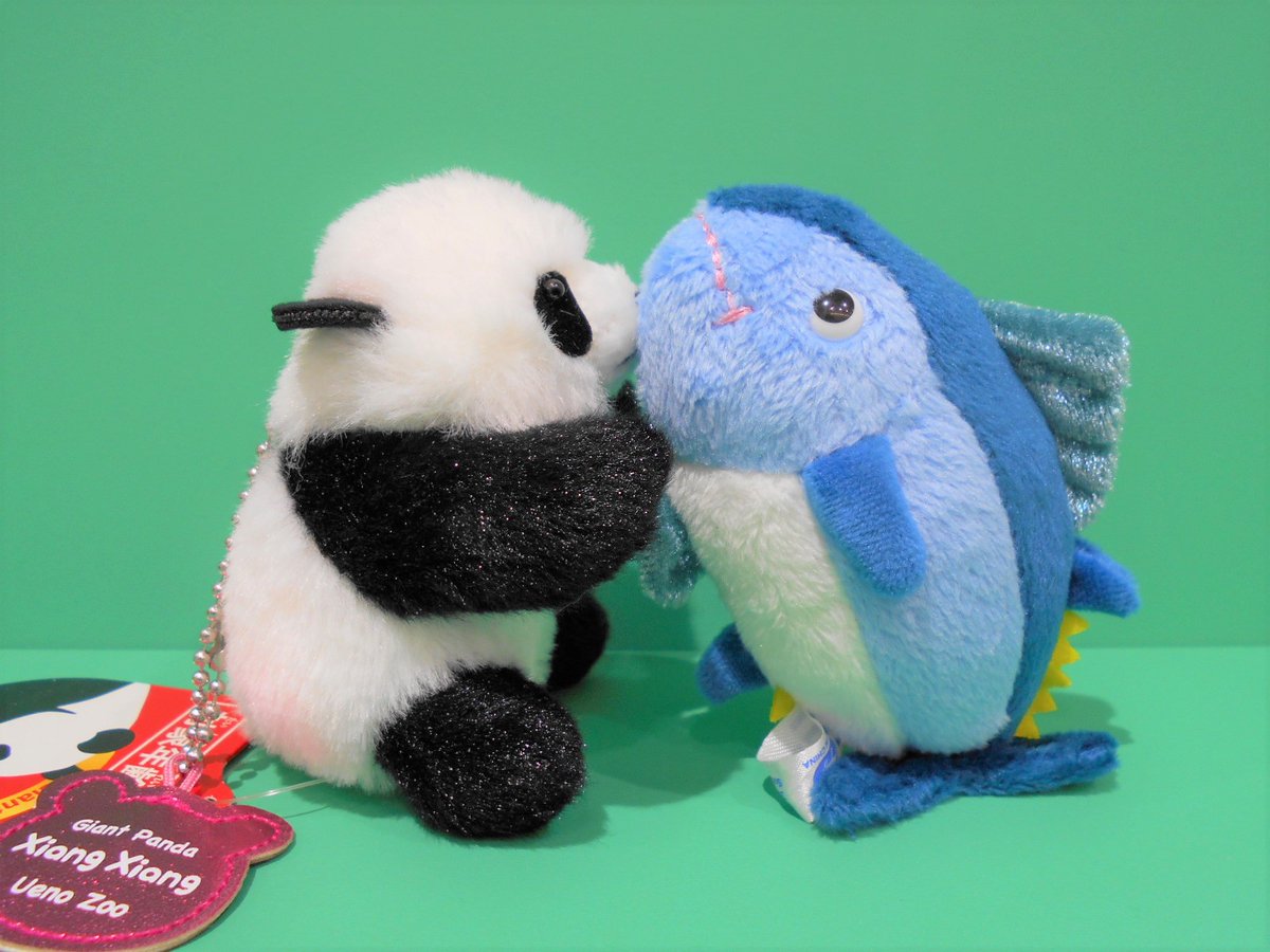 正門横ギフトショップ「アクアスケープ」は土日祝日のみの営業です