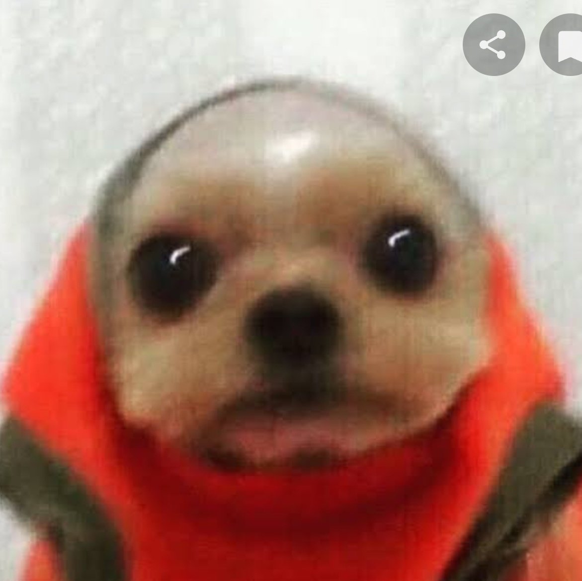 badabundo's tweet image. #NuevaFotoDePerfil