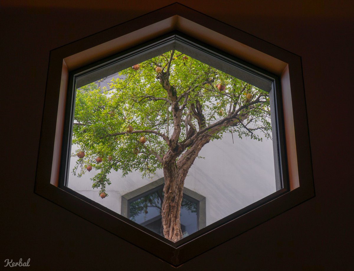 EthanChenYC's tweet image. Inside-N-Outside👁️
#travelphotography #SOOCHOW #Soochowmuseum