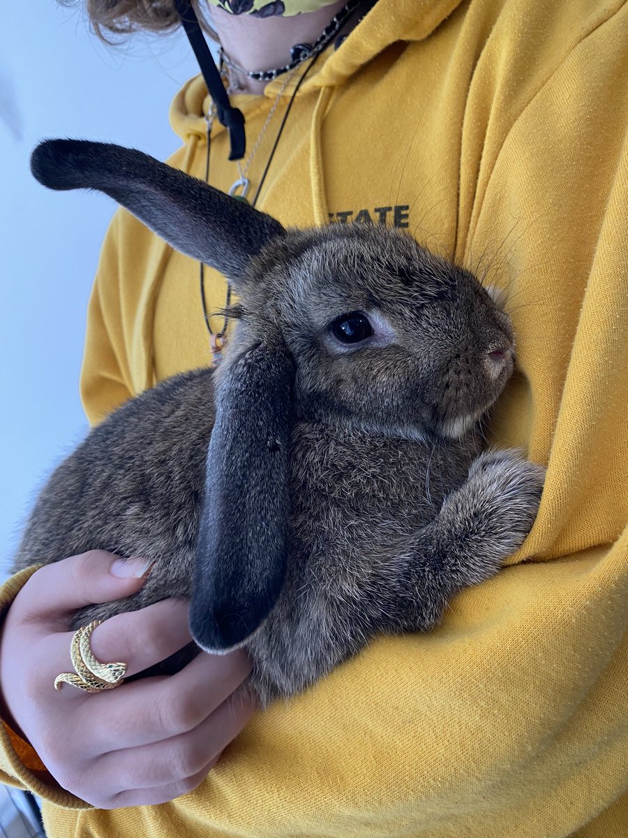 I think her name was fossy ?? Idk… my nephew named her :3