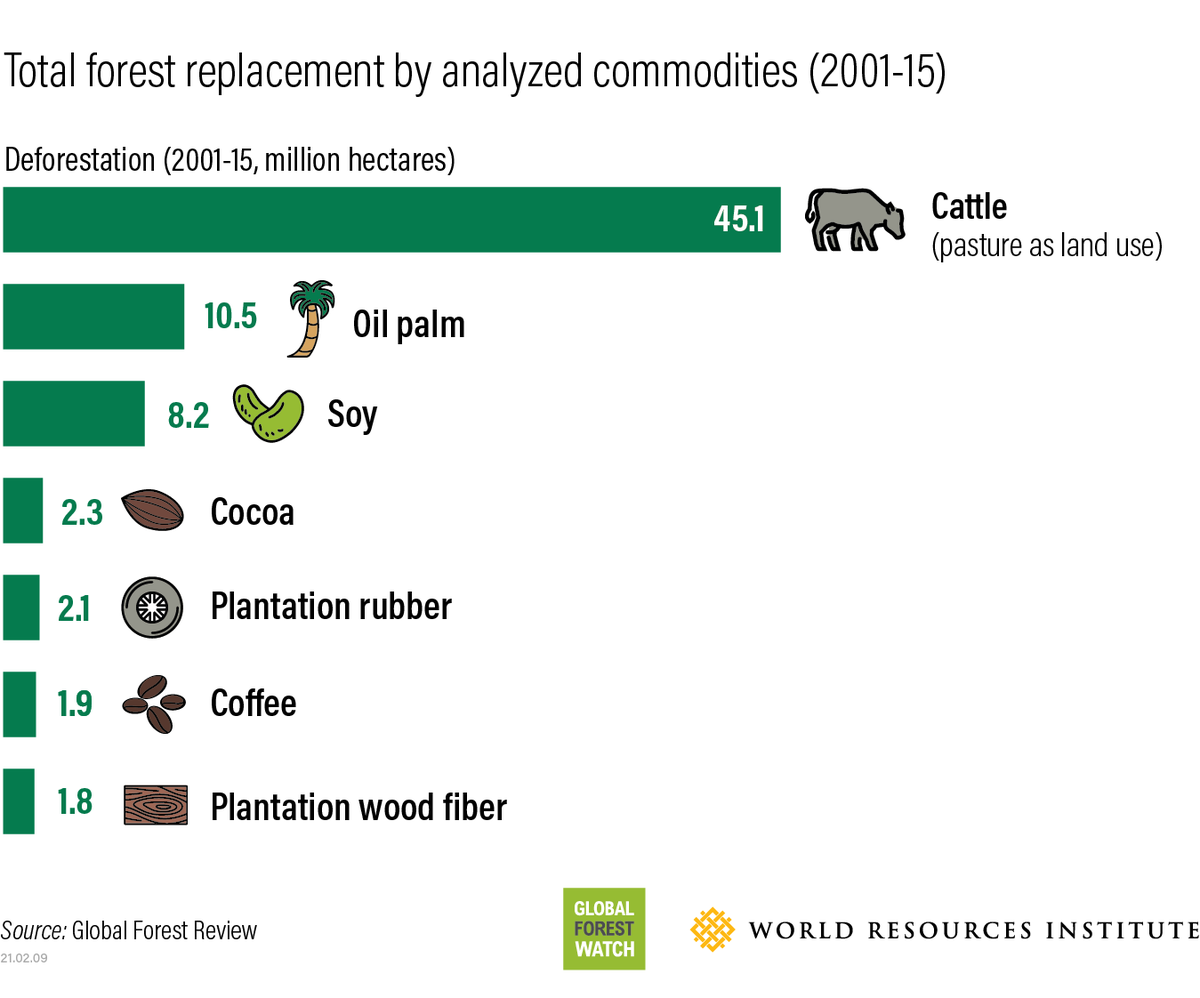 matthewhayek's tweet image. Far more soy (and other monocultures) are used for animal feed than traditional or new alternative proteins. Also, 5x more deforestation occurs for cattle pastures than for all soy combined (but both are interrelated).