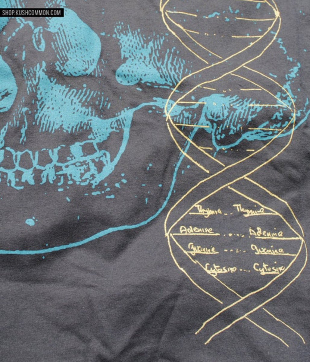ForbiddenNFTs's tweet photo. All 4 OG Forbidden Prophet shirts on super sale‼️All Seeing Eye tee seen on Tommy Chong🌱 Grab one here ➡️https://t.co/ruZ8GK3Unv https://t.co/l2VamL2bC9