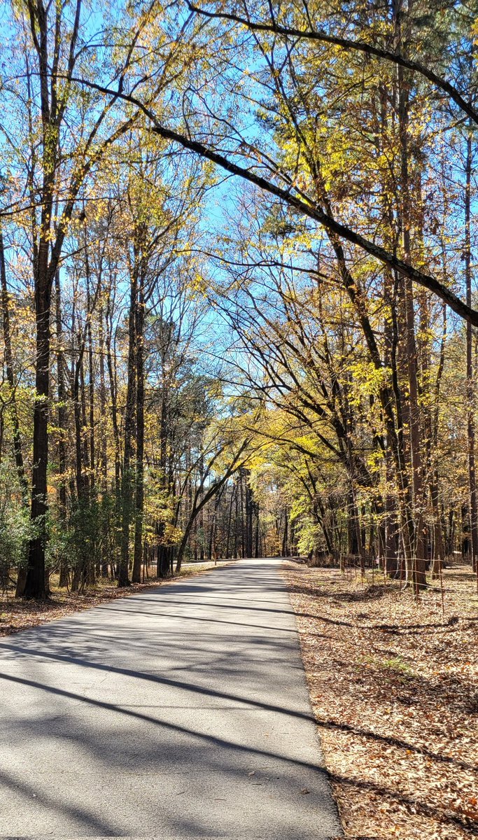 BluSaberWielder's tweet photo. Unfiltered life, day 12! Spending a beautiful day around the best looking part of Oklahoma.
#BrokenBow #LongAndWinding #BeautifulDay https://t.co/EvMveK7oFg