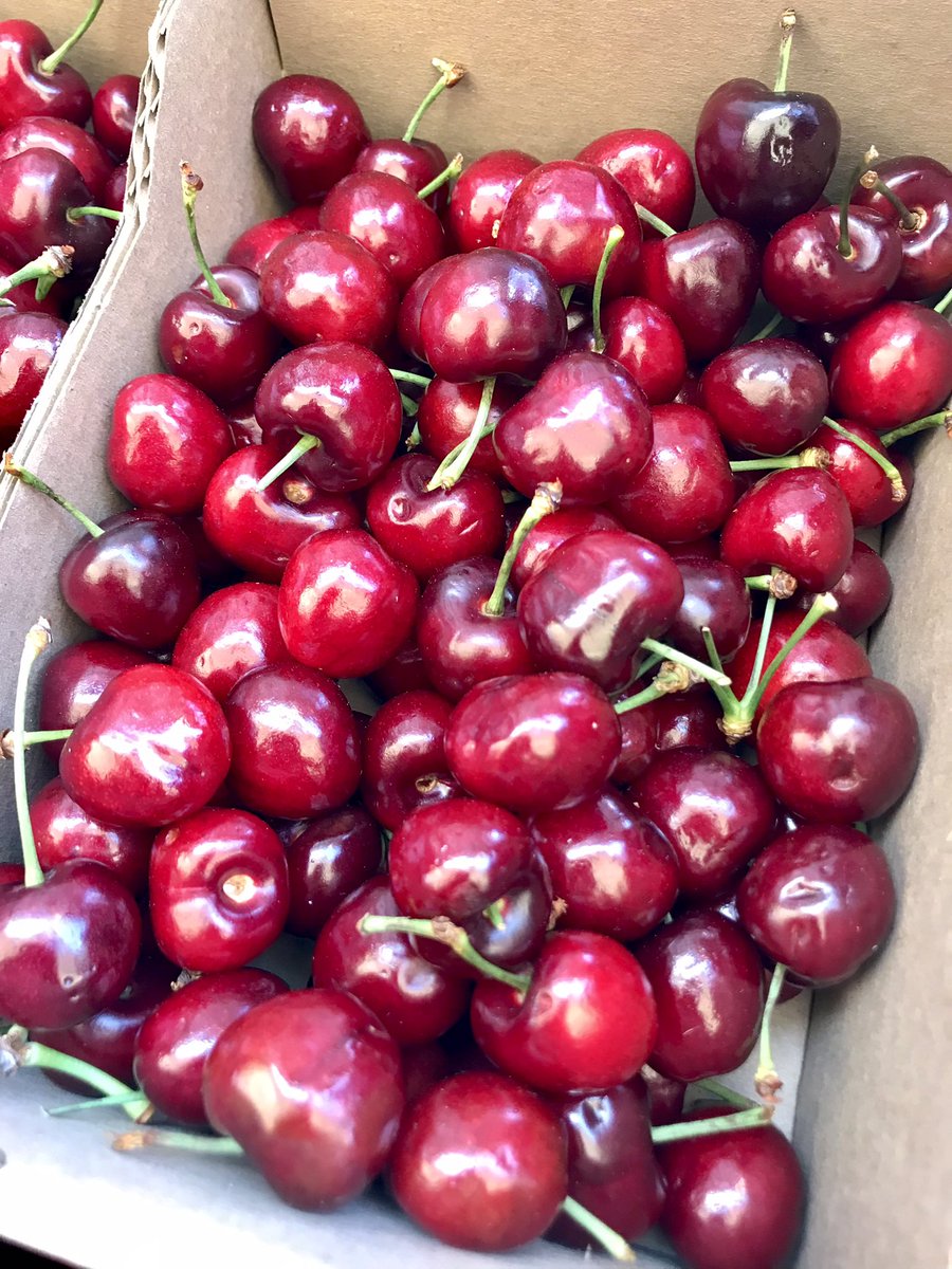 Edelweiss_Delp's tweet image. It’s cherry fest time @OZCFarm! What a feast of deliciousness! 🍒🍒🍒 thank you #cherrytime for adding fun and flavour to challenging times! ❤️🍒 #market #capetown #travel #SouthAfrica