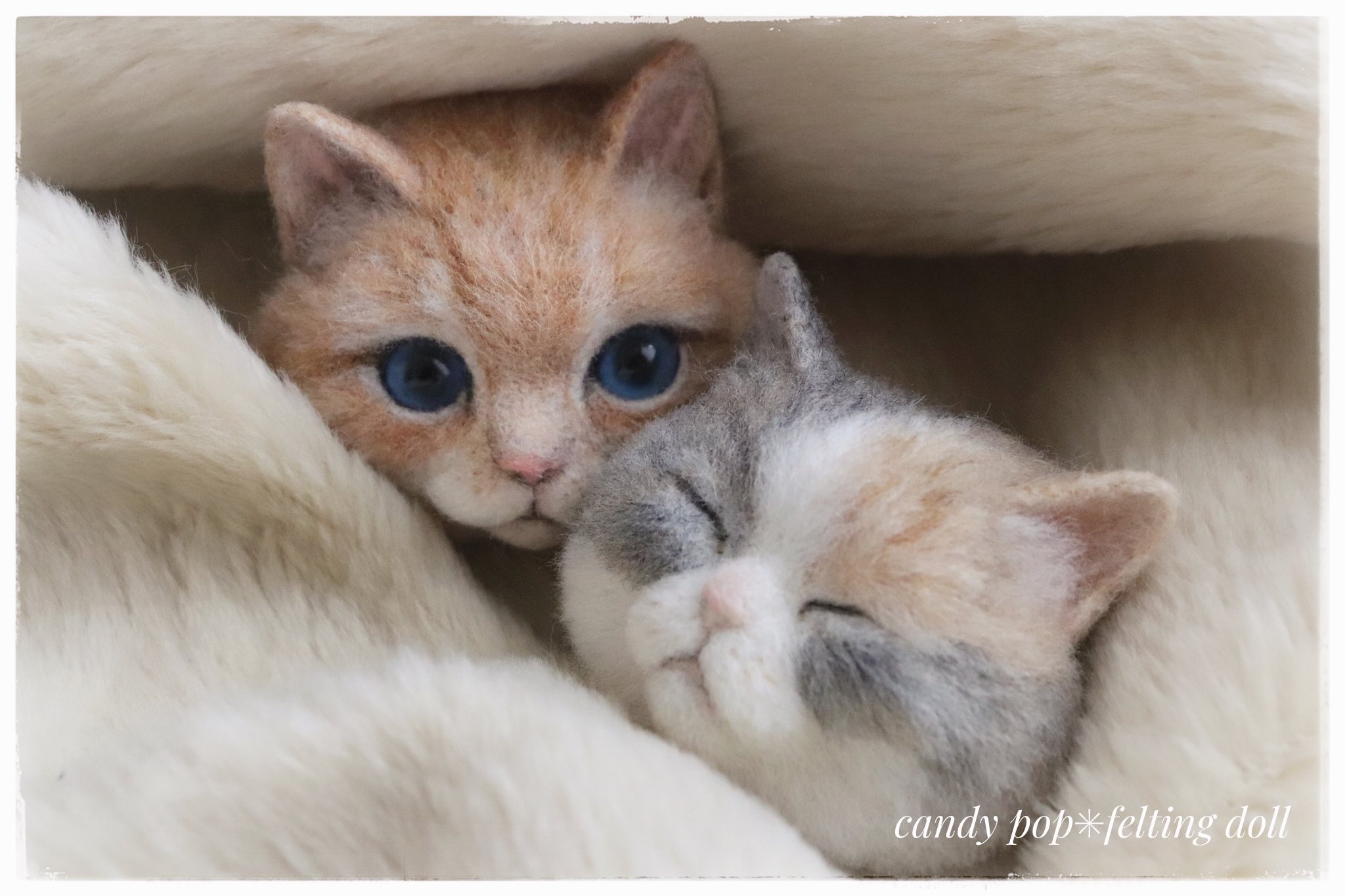 年間ランキング6年連続受賞 猫のモデルのための画像です 絵画 タペストリ Cft Hammamet Com
