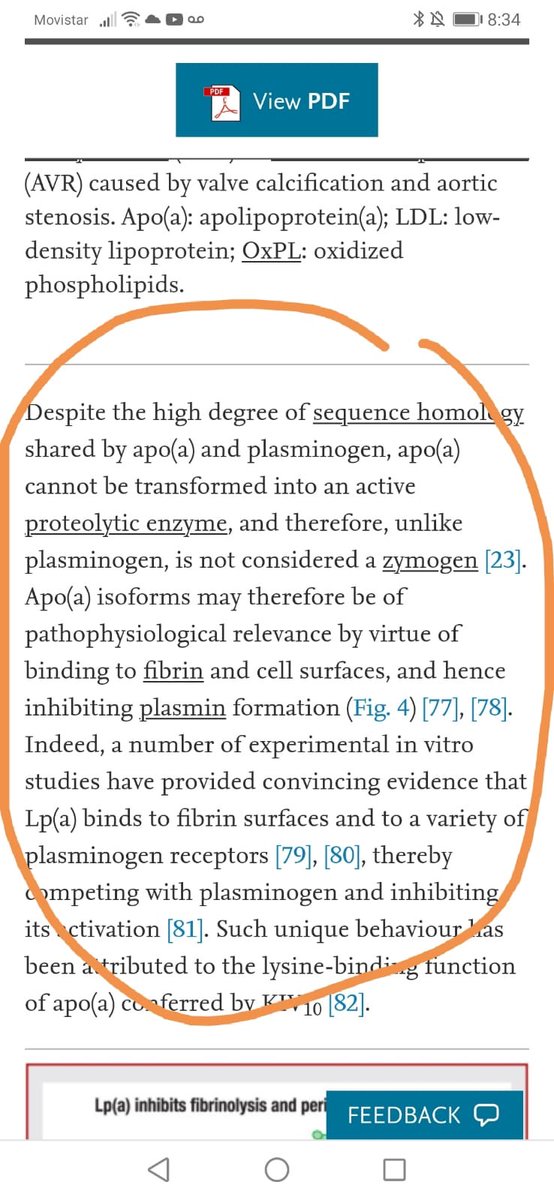 ANGLESCANO Eduardo (@anglescanoe) on Twitter photo 