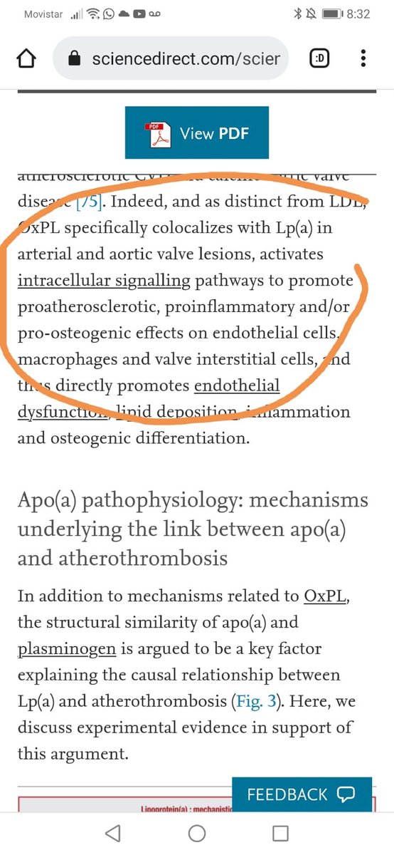 ANGLESCANO Eduardo (@anglescanoe) on Twitter photo 