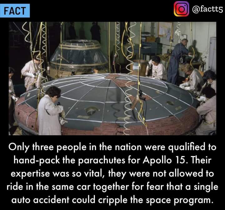 Sara Watts (@sarajanewatts) on Twitter photo 