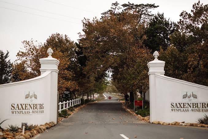 grapeex18's tweet photo. It's a date with @Saxenburgwine in Polokwane at Masai Lodge!

Join us for a memorable wine experience on the 18th of December.🍷Let's end 2021 on a grape note. 🍇

Tickets are limited and will NOT be sold at the door. Ticket @QuicketSA link in bio. Hope to see you there! #wine https://t.co/43qEwkOiV1