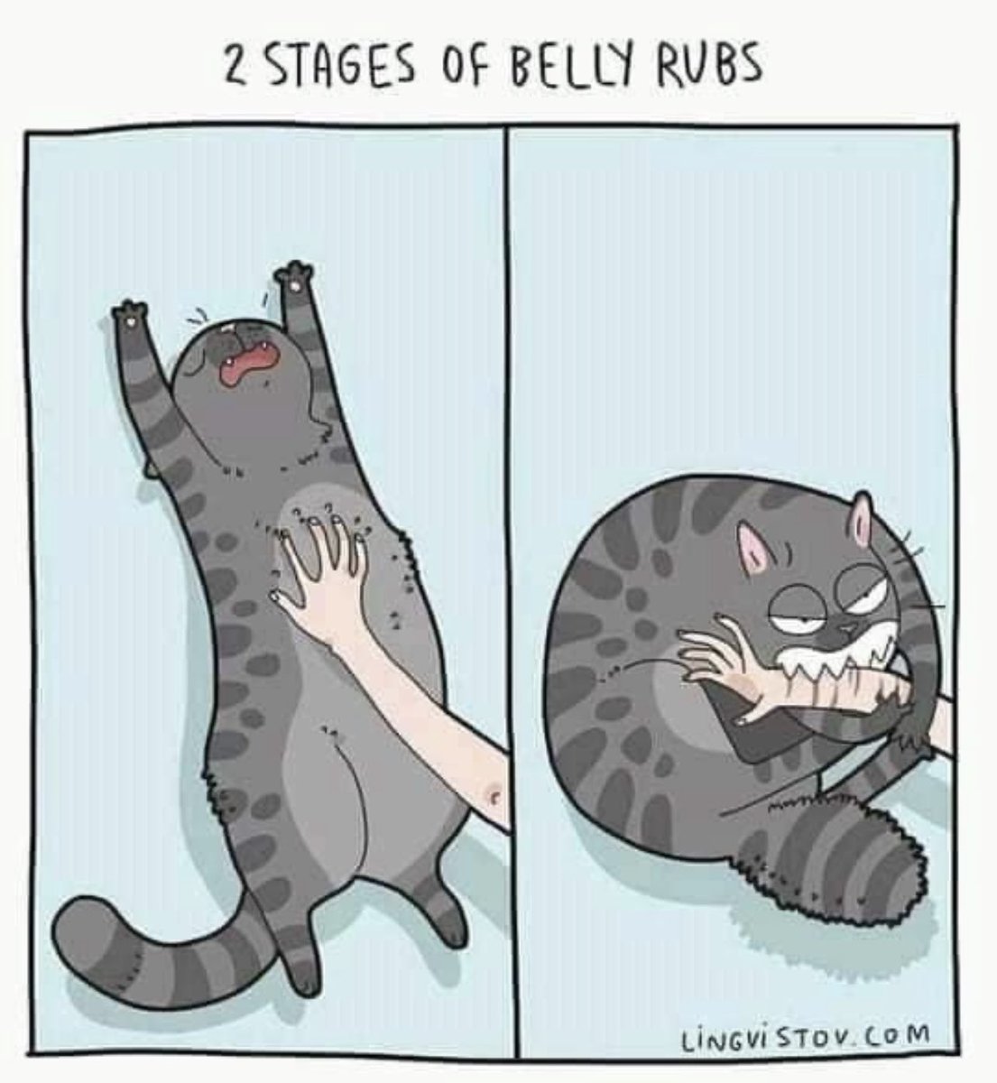 TheodoreSeries's tweet photo. It’s Caturday! 😻 
.
#caturday #catsandbooks #paperclippublishing #cat #cats #catsofinstagram #publishing #author #writer #writersofaz #authorsofaz #book #books #booklover #bookaddict #bookstagram #bookstagrammer #booksbooksbooks #bookobsessed #booklove #booklovers  #bookphoto https://t.co/NQ6OUmIGJe