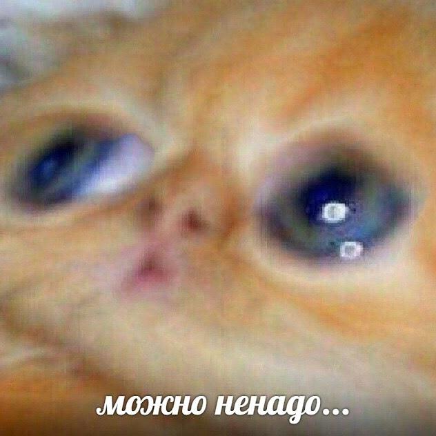 follow back till 300 (like + reply for fb)