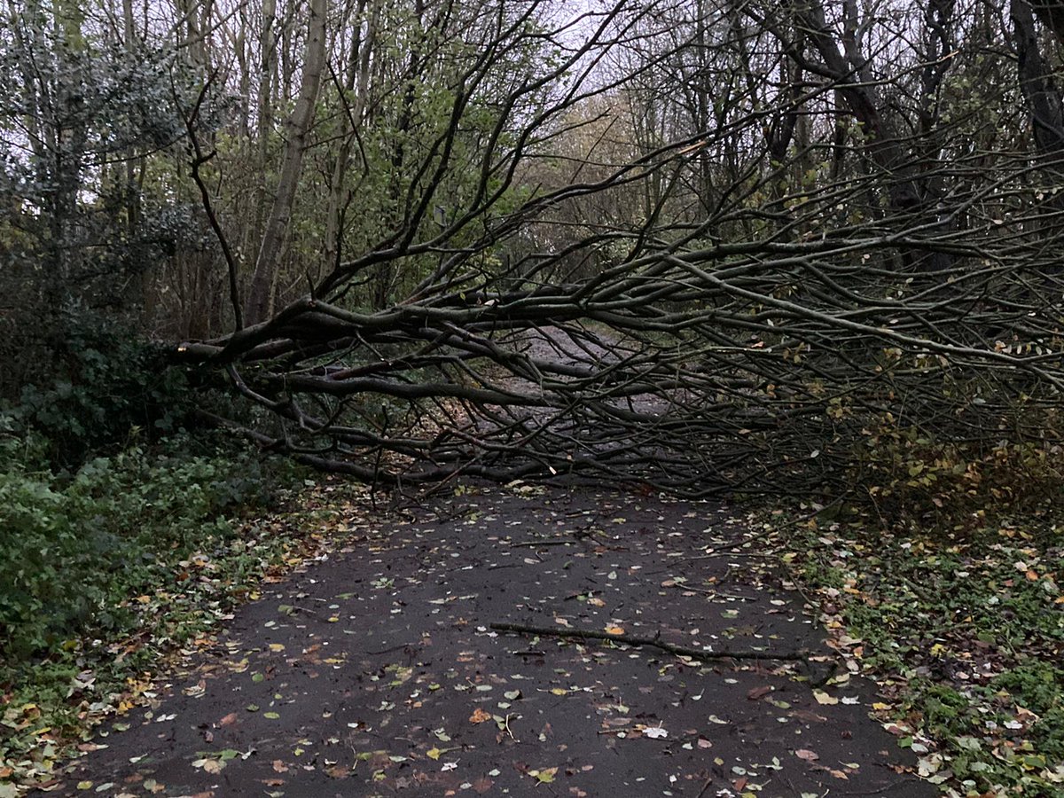 Thanks to Pete our Run Director for a very early course check. If you are quick, <a href="/Hanleyparkrun/">Hanley parkrun</a> might still be available.
#loveparkrun #WammyNotWhammy