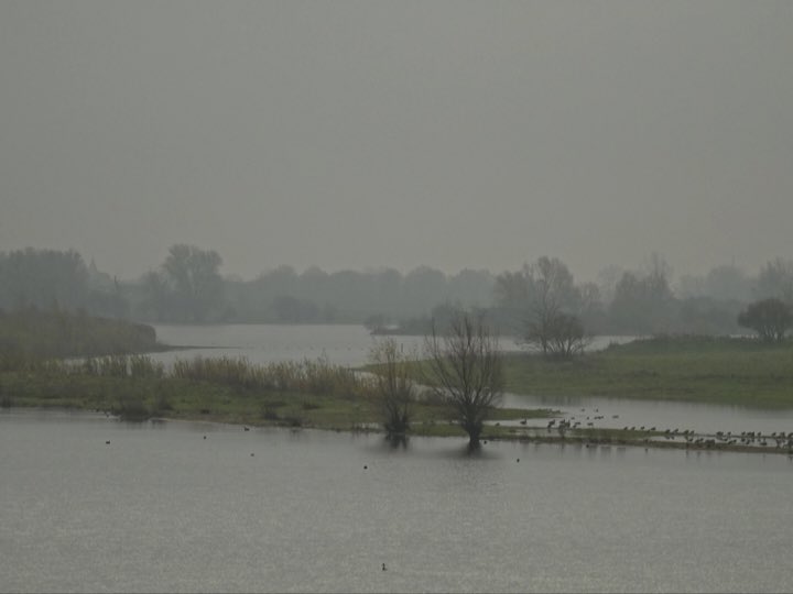 WalkingRoel's tweet photo. Ik ben gestart met mijn #Pelgrimspad-etappe vanuit #Nederhemert. De eerste 6 km zijn nog op @provgelderland-grond tot het pontje bij #Bern. Daarna wandel ik in @Brabant via o.a. #Heusden, #Drunen en de duinen aldaar. Het wordt een natte koude tocht, maar daar ben ik op gekleed! https://t.co/YZyRmUsSpy