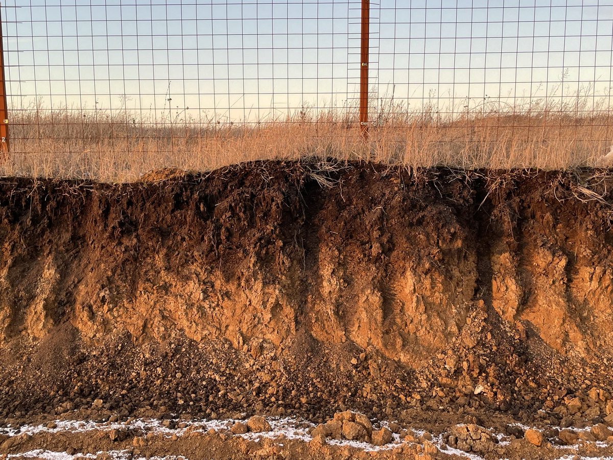 gsneessens's tweet photo. @soilcapfarming was in Russia this whole week assisting Russian clients designing their transition towards #regenerativeagriculture for better agronomy, profitability and carbon sequestration - very promissing ! https://t.co/yxNQxDNxEw