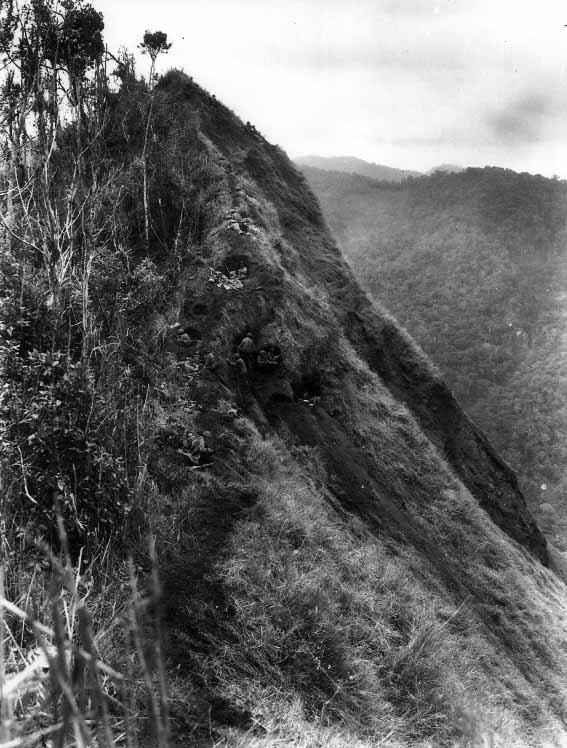 You climb and climb … This is the field of battle … Tonight some of us will be dead … You'll never forget Shaggy Ridge. #HistoryWritersDay bookdepository.com/The-Battle-for…