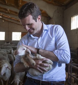 No sé por qué Ayuso y Casado se esfuerzan tanto en conseguir el voto ovino…

Si ya lo tienen…😉😏😏