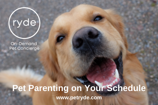 RydePet's tweet photo. For those times when pet parents need a little more help.

Ryde is building an on-demand pet concierge service that solves a problem facing every pet parent.

Explore our equity crowdfunding page on Fundable at https://t.co/0RdUXMrpBK.

#crowdfunding #pets #petindustry #pettech https://t.co/8GwuMQvhQg
