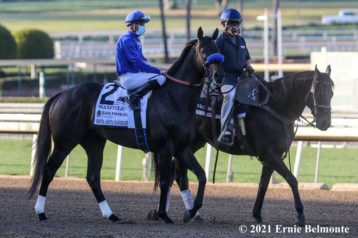 Ernie_Belmonte's tweet photo. Maxfield goes out a winner in the G1 Clark at Churchill Downs. Here some photos of him that I took at SA. Congratulations to his connections and enjoy retirement Max. #BreedersFuturityWinner #MattWinnWinner #MineshaftWinner #AlyshebaWinner #StephenFosterWinner #ClarkWinner #bc19 https://t.co/XRSysu37pV