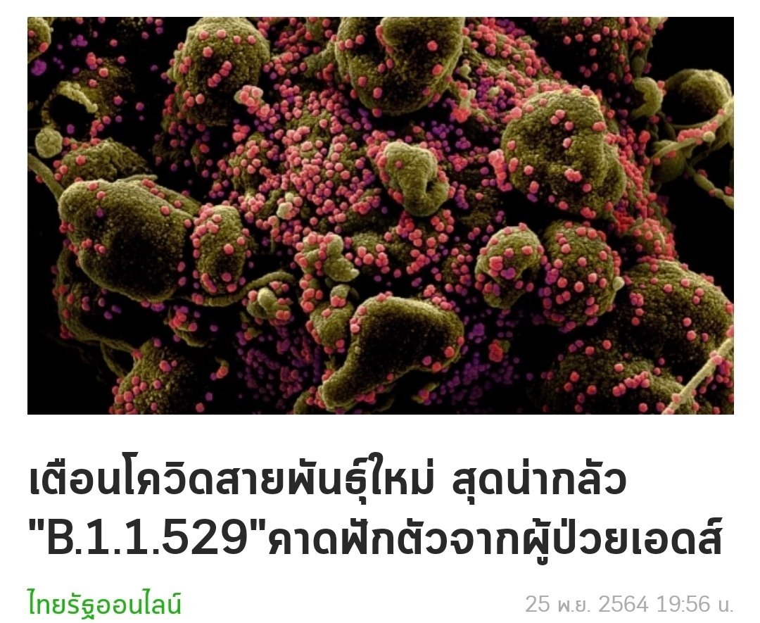 BoonchotHoro's tweet photo. หมอปลาย พรายกระซิบ หมอดูหญิงชื่อดังเคยทำนายไว้ถึงการเกิดโควิดสายพันธ์ุใหม่ ที่เกิดจากการผสมกับเชื้ออื่นแล้วจะรุนแรงกว่าเดิม หวังว่าจะไม่ใช่สายพันธุ์nu ที่กำลังเกิดขึ้นตอนนี้นะ
🙄🙄🙄
#โควิดสายพันธุ์ใหม่ https://t.co/NhR9N6rR3p