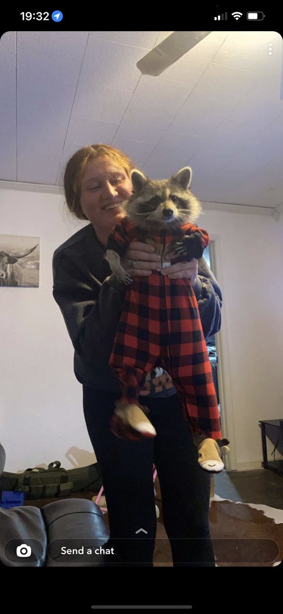kelsikelly16's tweet photo. Don’t mind my face. But pepper is seriously the cutest 🥺🥺 https://t.co/xfORStvnlU