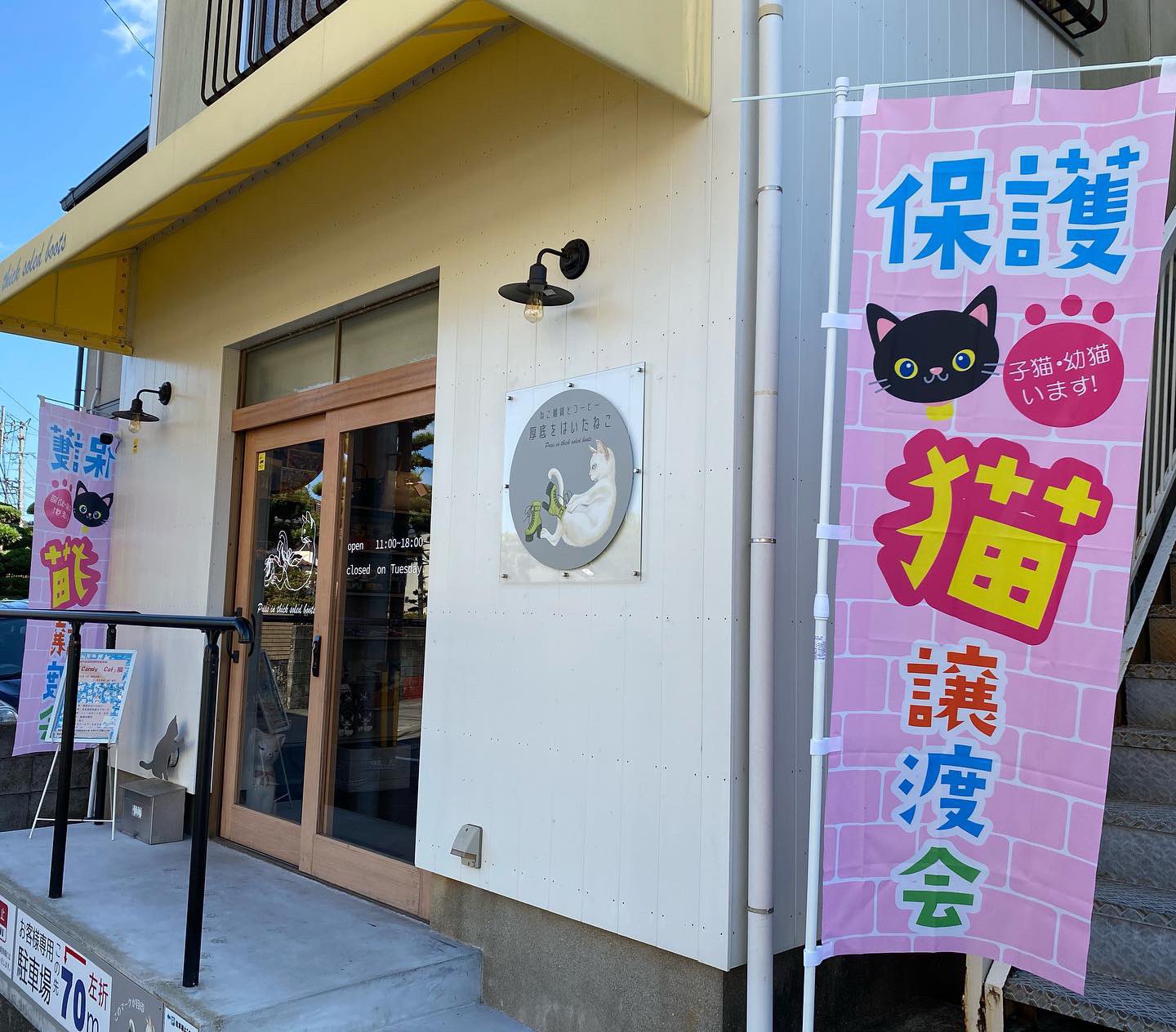 22正規激安 お知らせ Nekoshoes ネコ柄シューズ専門店オープンしました その他スニーカー Hagaveterinar Se