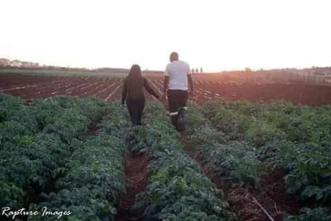 The Starving Farmer👨🏿🌾 🇲🇼 tweet media
