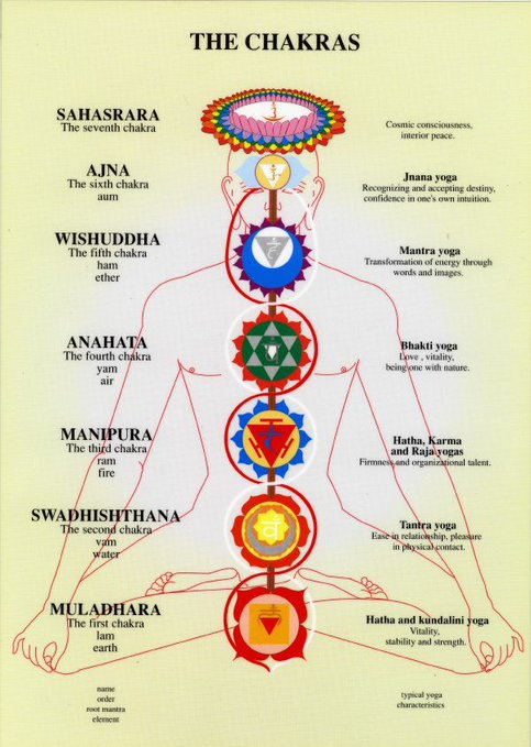 fgautier26's tweet photo. Know your chakras. Another gift of #hinduism to the world that is being slowly accepted in the West. @SriSri has pointed out that modern science discovered that there are important nervous centers behind each chakra, like the pineal gland on Ajna chakra. Be proud to be a Hindu https://t.co/55wDDFpOeA